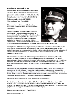 A preview of a PDF biography for Martinek, Bohumir